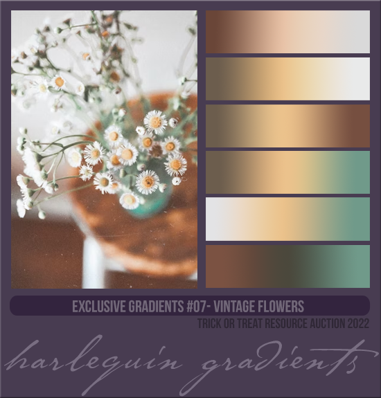 EXCLUSIVE GRADIENTS #007 [VINTAGE FLOWERS]
(TRICK OR TREAT RESOURCE AUCTION 2022)
