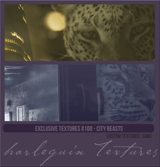 EXCLUSIVE PACK #100 [CITY BEASTS]
