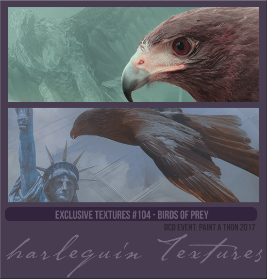 EXCLUSIVE PACK #104 [BIRDS OF PREY]
