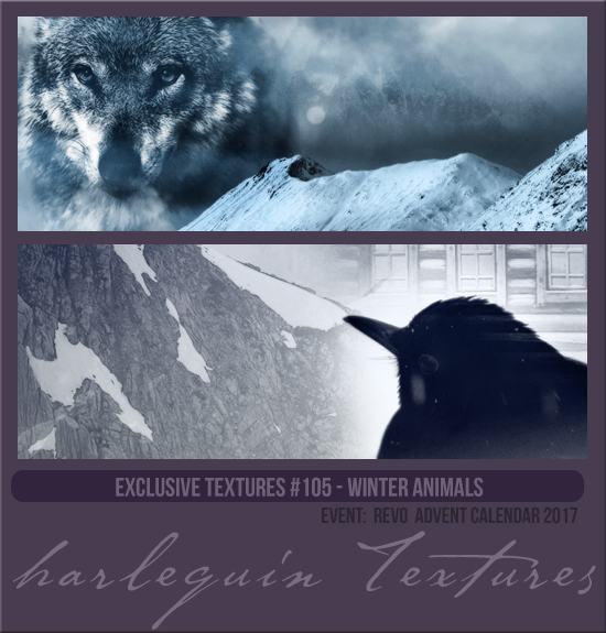 EXCLUSIVE PACK #105 [WINTER ANIMALS]
