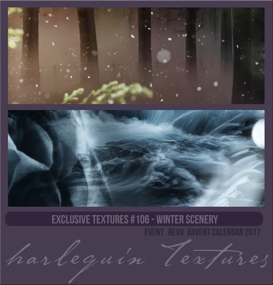 EXCLUSIVE PACK #106 [WINTER SCENERY]
