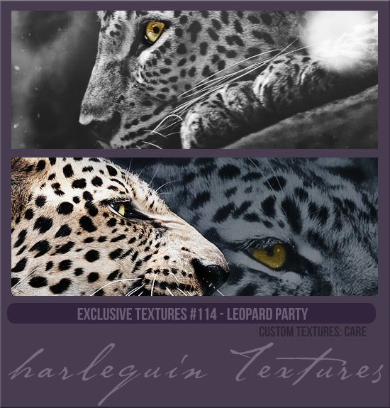 EXCLUSIVE PACK #114 [LEOPARD PARTY]
