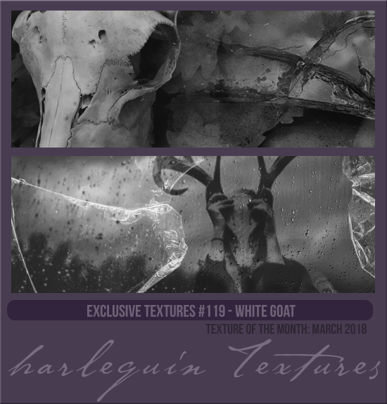 EXCLUSIVE PACK #119 [WHITE GOAT]
