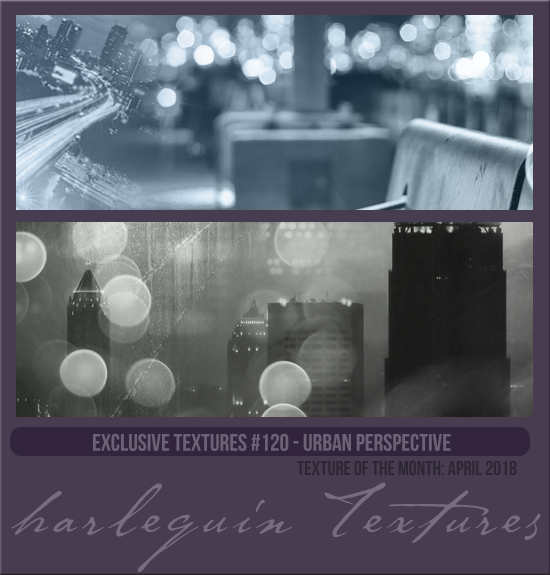 EXCLUSIVE PACK #120 [URBAN PERSPECTIVE]
