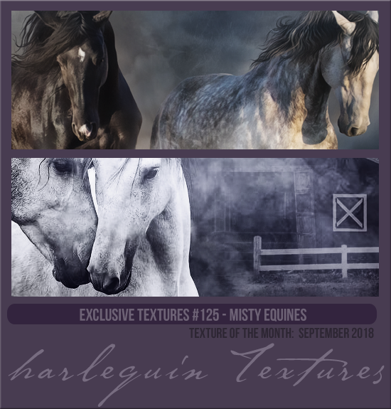 EXCLUSIVE PACK #125 [MISTY EQUINES]
