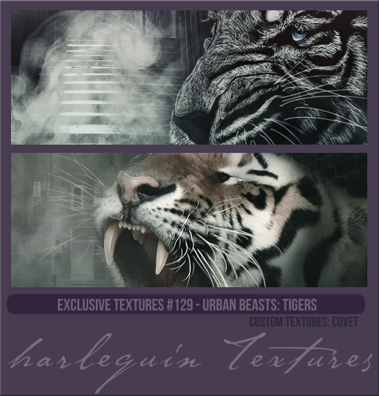 EXCLUSIVE PACK #129 [URBAN BEASTS: TIGERS]
