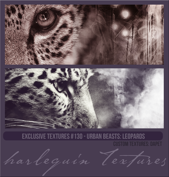 EXCLUSIVE PACK #130 [URBAN BEASTS: LEOPARDS]
