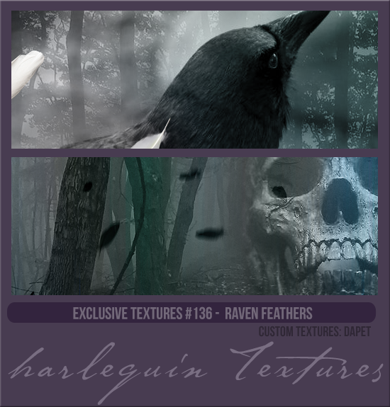 EXCLUSIVE PACK #136 [RAVEN FEATHERS]
