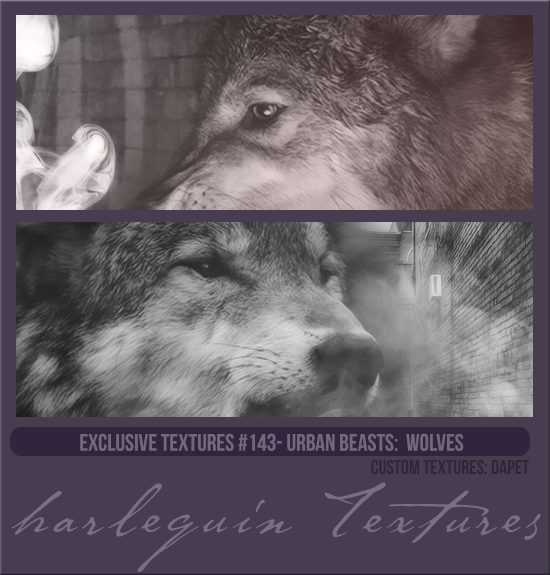 EXCLUSIVE PACK #143 [URBAN BEASTS: WOLVES]
