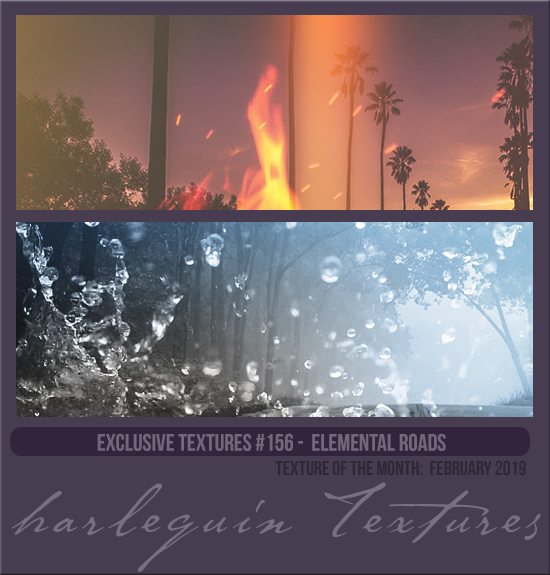 EXCLUSIVE PACK #156 [ELEMENTAL ROADS]
