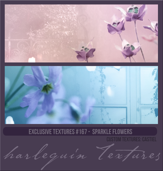 EXCLUSIVE PACK #167 [SPARKLE FLOWERS]
