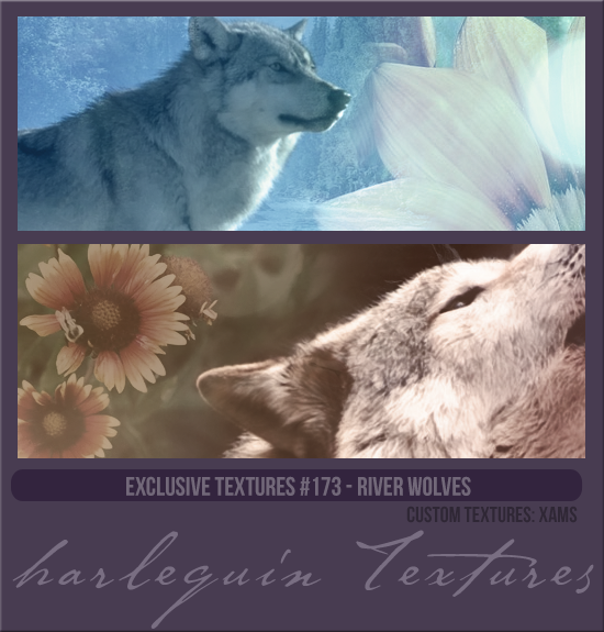 EXCLUSIVE PACK #173 [RIVER WOLVES]
CUSTOM TEXTURES: XAMS
