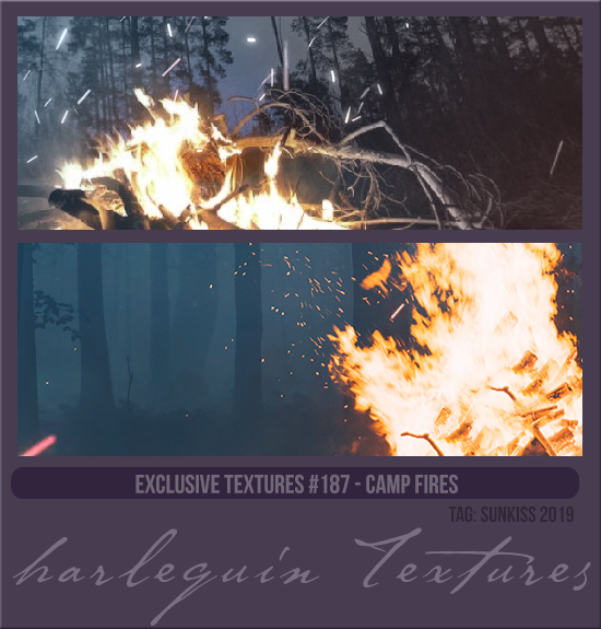 EXCLUSIVE PACK #187 [CAMP FIRES]
