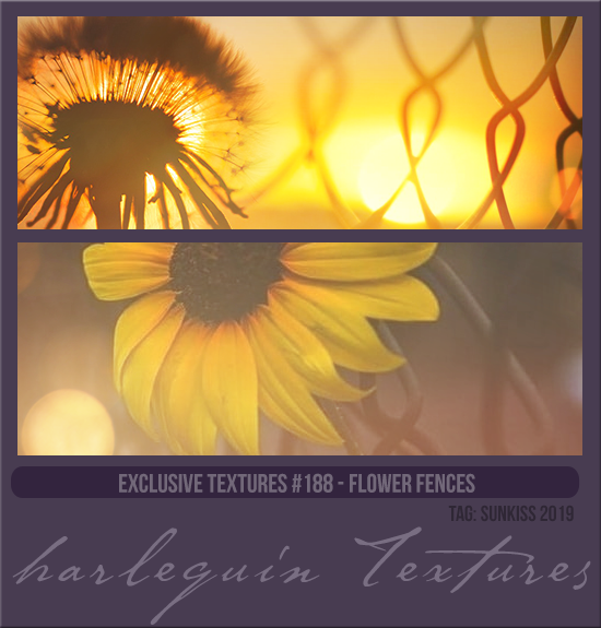 EXCLUSIVE PACK #188 [FLOWER FENCES]
