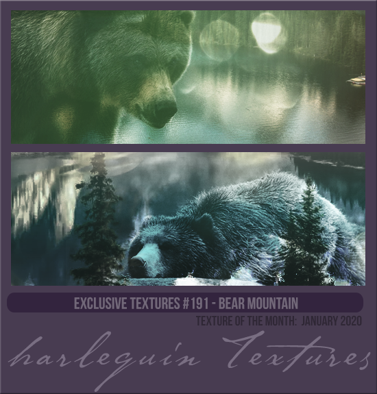 EXCLUSIVE PACK #191 [BEAR MOUNTAIN]  
TEXTURE OF THE MONTH CLUB: JAN 2020
