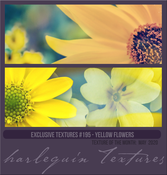 EXCLUSIVE PACK #195 [YELLOW FLOWERS] 
TEXTURE OF THE MONTH CLUB: MAY 2020
