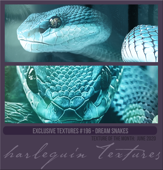 EXCLUSIVE PACK #196 [DREAM SNAKES] 
TEXTURE OF THE MONTH CLUB: JUNE 2020
