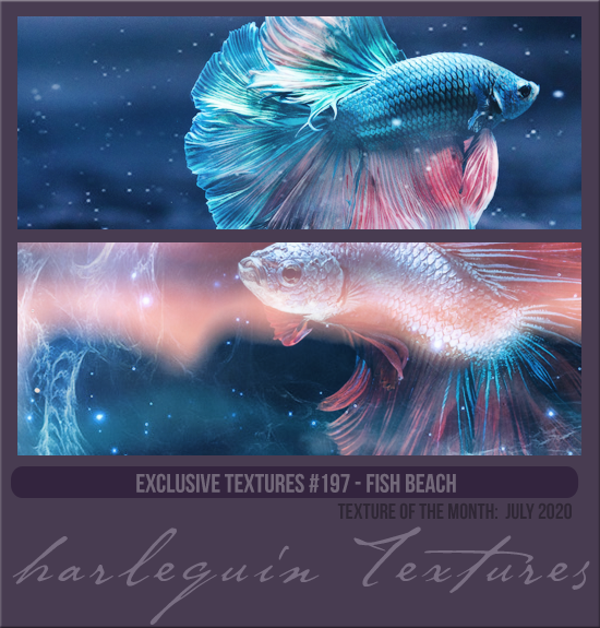 EXCLUSIVE PACK #197 [FISH BEACH] 
TEXTURE OF THE MONTH CLUB: JULY 2020
