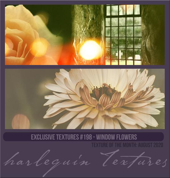 EXCLUSIVE PACK #198 [WINDOW FLOWERS]  
TEXTURE OF THE MONTH CLUB: AUG 2020
