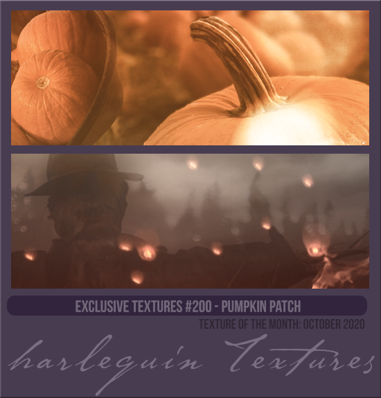 EXCLUSIVE PACK #200 [PUMPKIN PATCH] 
TEXTURE OF THE MONTH CLUB: OCT 2020
