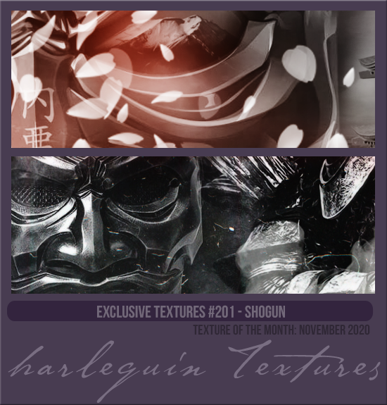 EXCLUSIVE PACK #201 [SHOGUN] 
TEXTURE OF THE MONTH CLUB: NOV 2020
