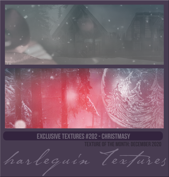 EXCLUSIVE PACK #202 [CHRISTMASY] 
TEXTURE OF THE MONTH CLUB: DEC 2020
