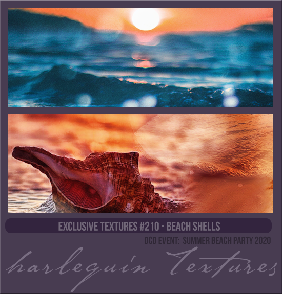 EXCLUSIVE PACK #210 [BEACH SHELLS]
SUMMER BEACH PARTY 2020
