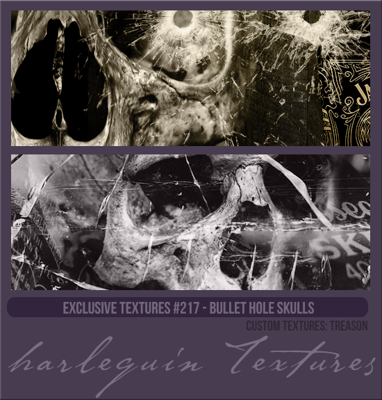 EXCLUSIVE PACK #217 [BULLET HOLE SKULLS]
CUSTOM TEXTURES: TREASON
