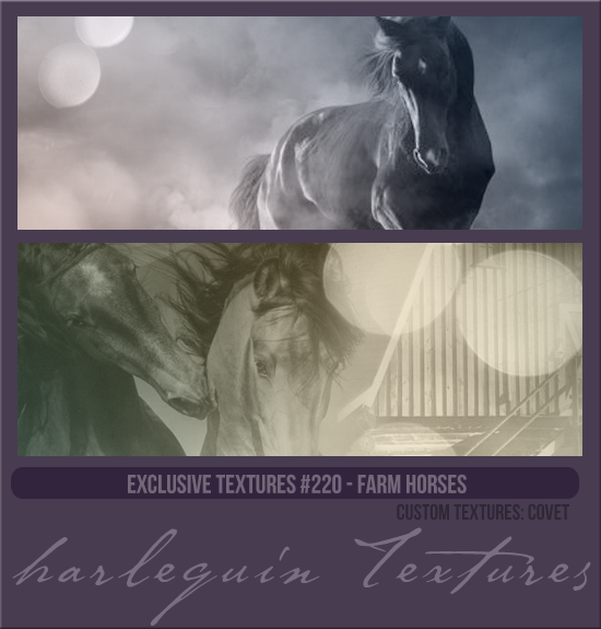 EXCLUSIVE PACK #220 [FARM HORSES]
CUSTOM TEXTURES: COVET
