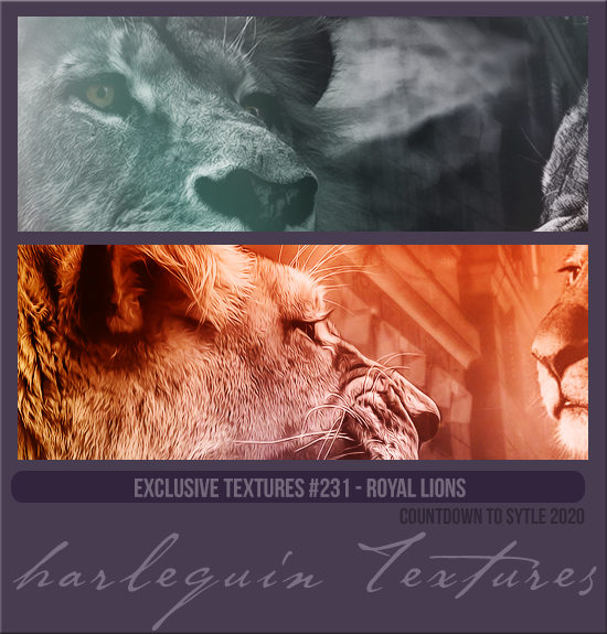 EXCLUSIVE PACK #231 [ROYAL LIONS]
COUNTDOWN TO STYLE 2020
