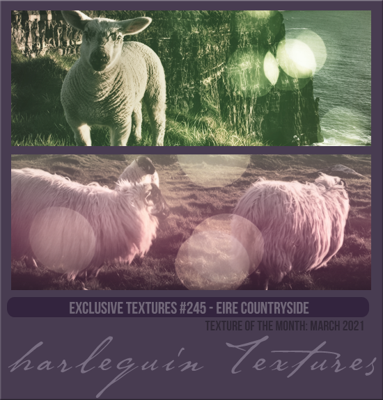 EXCLUSIVE PACK #245 [EIRE COUNTRYSIDE]
