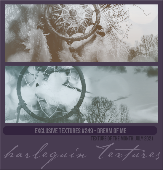 EXCLUSIVE PACK #249 [DREAM OF ME]
