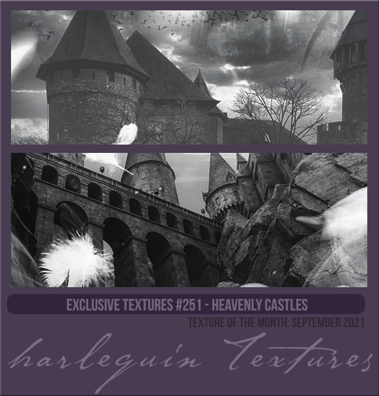 EXCLUSIVE PACK #251 [HEAVENLY CASTLES]
