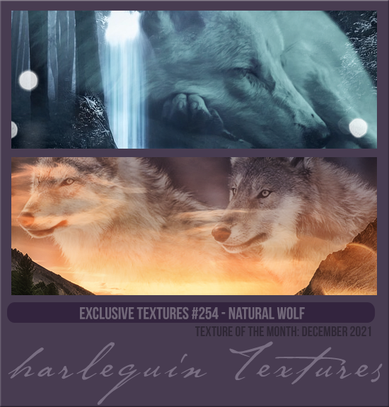 EXCLUSIVE PACK #254 [NATURAL WOLF]
