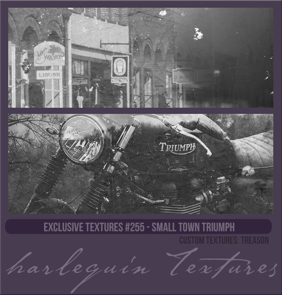 EXCLUSIVE PACK #255 [SMALL TOWN TRIUMPH]
