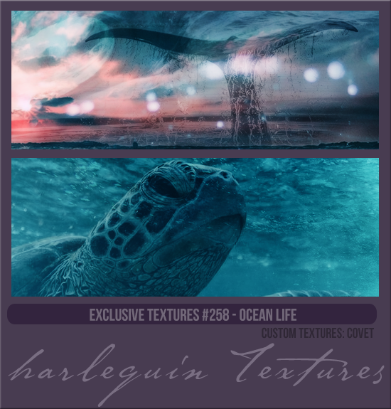 EXCLUSIVE PACK #258 [OCEAN LIFE]
