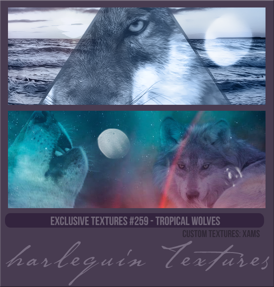 EXCLUSIVE PACK #259 [TROPICAL WOLVES]
