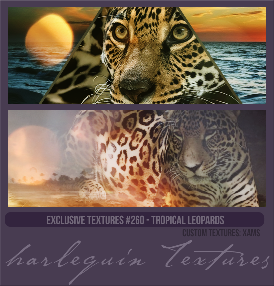 EXCLUSIVE PACK #260 [TROPICAL LEOPARD]
