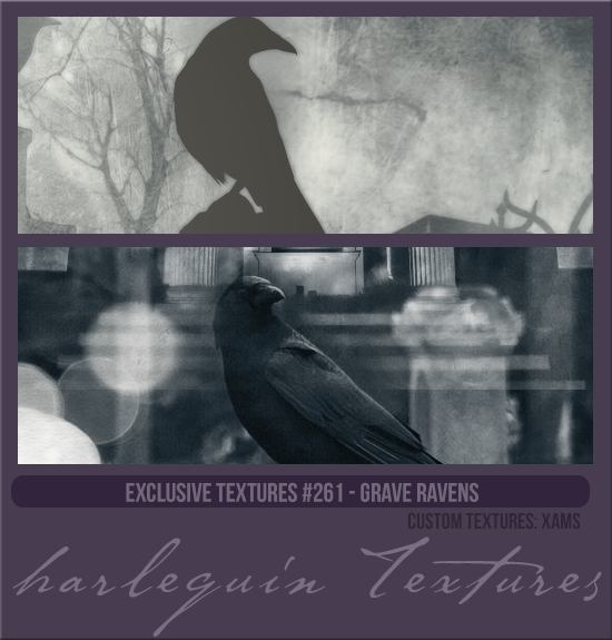 EXCLUSIVE PACK #261 [GRAVE RAVENS]
