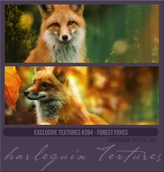 EXCLUSIVE PACK #284 [FOREST FOXES]
(CHRISTMAS 2021)
