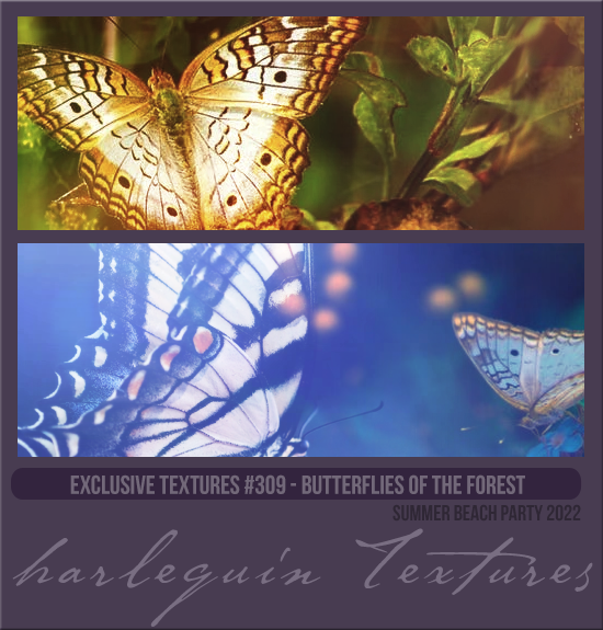 EXCLUSIVE PACK #309 [BUTTERFLIES OF THE FOREST]
AVAILABLE SEPTEMBER 2023 (SUMMER EVENTS 2022)
