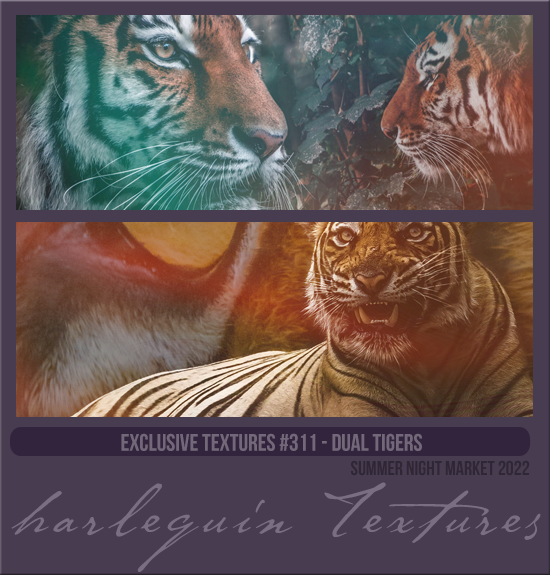 EXCLUSIVE PACK #311 [DUAL TIGERS]
AVAILABLE SEPTEMBER 2023 (SUMMER EVENTS 2022)
