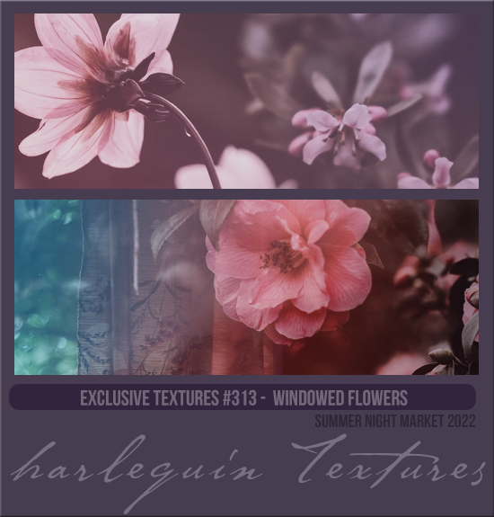 EXCLUSIVE PACK #313 [WINDOWED FLOWERS]
AVAILABLE SEPTEMBER 2023 (SUMMER EVENTS 2022)
