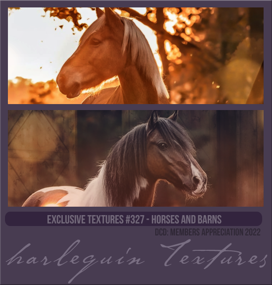 EXCLUSIVE PACK #327 [HORSES AND BARNS]
AVAILABLE FEBRUARY 2023 (MEMBERS APPRECIATION 2022)
