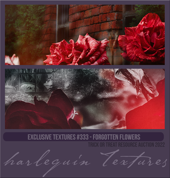 EXCLUSIVE PACK #333 [FORGOTTEN FLOWERS]
AVAILABLE MAY 2023 (TRICK OR TREAT AUCTION 2022)
