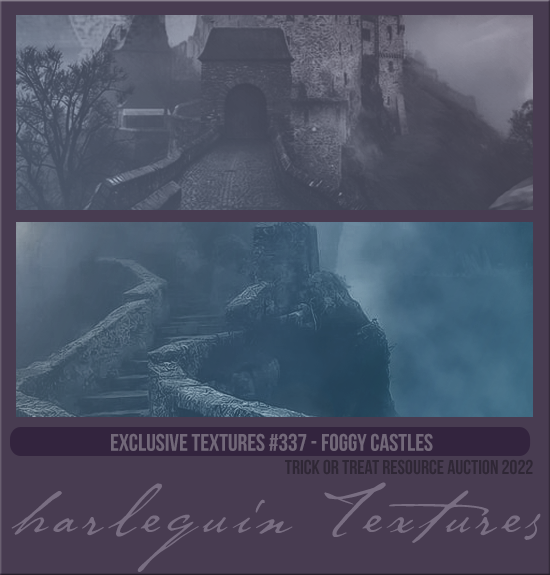 EXCLUSIVE PACK #337 [FOGGY CASTLES]
AVAILABLE MAY 2023 (TRICK OR TREAT AUCTION 2022)
