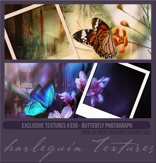 EXCLUSIVE PACK #338 [BUTTERFLY PHOTOGRAPH]
AVAILABLE MAY 2023 (TRICK OR TREAT AUCTION 2022)
