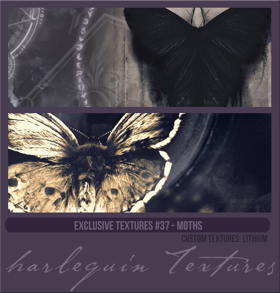 EXCLUSIVE PACK #037 [MOTHS]
