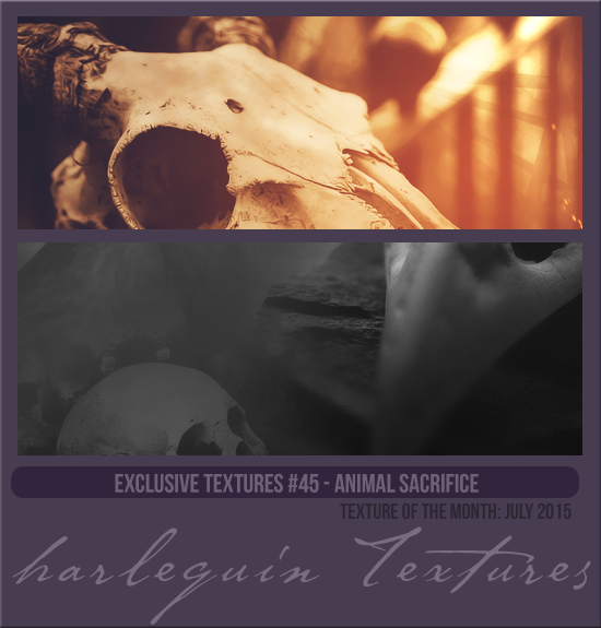 EXCLUSIVE PACK #045 [ANIMAL SACRIFICE]
