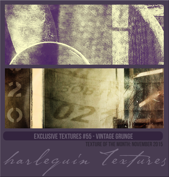 EXCLUSIVE PACK #055 [VINTAGE GRUNGE]
